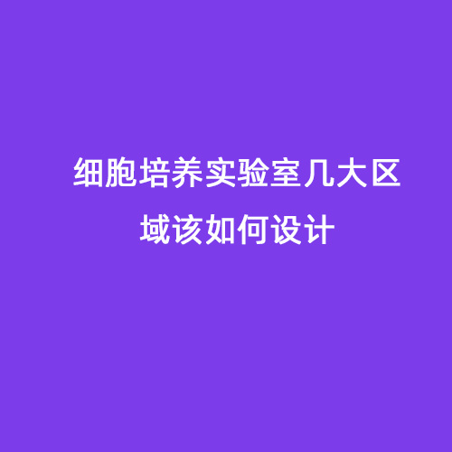 細(xì)胞培養(yǎng)實(shí)驗(yàn)室?guī)状髤^(qū)域該如何設(shè)計(jì)